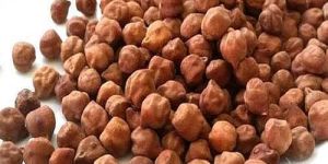 Brown Desi Chana