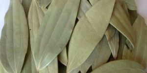 Dried Bay Leaves