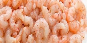 Pink Frozen Prawn