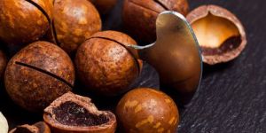 2025 New Crops Wholesale Yunnan Roasted Macadamia Nuts With Shell