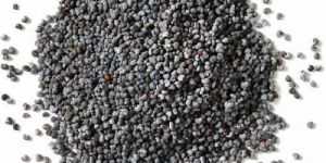 Organic Black Poppy Seeds