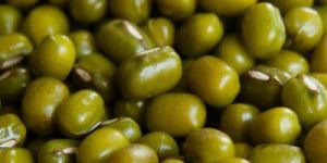 Green Mung Beans