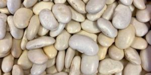 Premium Butter Beans