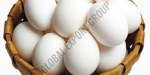 White Chicken Eggs