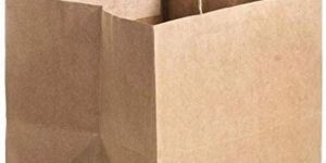 Brown Shopping Paper Bag With Twisted Paper Handle