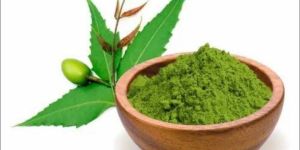 Neem Powder