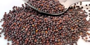 Black Mustard Seeds