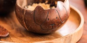 Brown Coconut Shell Kids Bowl