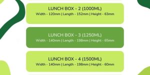 Paper Lunch Box
