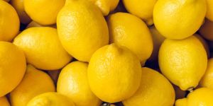 Fresh Lemon