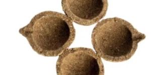 panchagavya vilakku cow dung diya