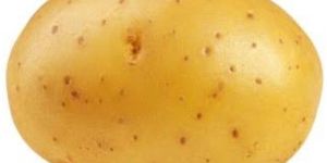 Potato Planter