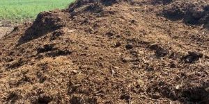Cow Dung Khad