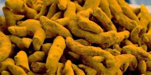 Deshwali Turmeric Finger