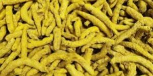 Salem Turmeric Finger