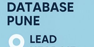 b2b Database Service