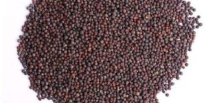 Brown Rai Whole Seed