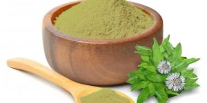 Natural Dried Bhringraj Powder
