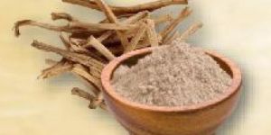 Shatawari Powder