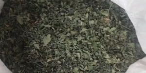 Organic Moringa Dried Leaves