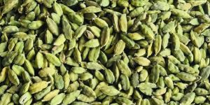 Green Cardamom 8mm