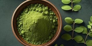 Organic Moringa Powder