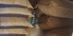 Mustard Seed Oil Cake