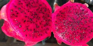 Dragon Fruit