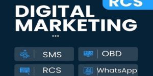 Bulk Sms