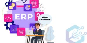 Odoo ERP Consulting Services