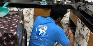 Cockroaches Pest Control Services