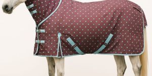 Horse Turnout Rug
