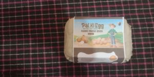 6 Pcs Brown Eggs
