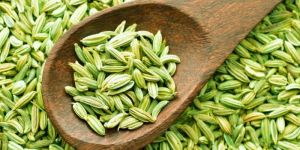 Fennel Seed