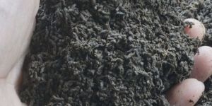 Vermicompost Fertilizer
