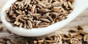Cumin Seeds