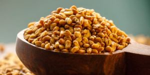 Fenugreek