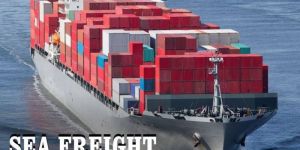 International Sea Freight Forwarder