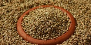 Carom Seeds