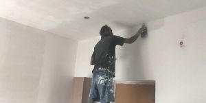 Birla White Wall Putty