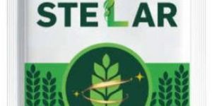 stelar plant growth regulators