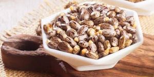Castor Seeds