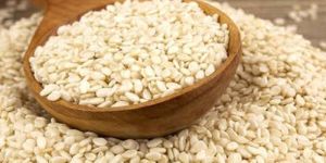 Natural White Sesame Seeds