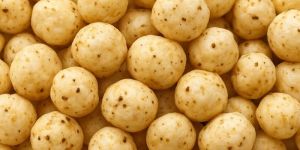 Roasted Organic Makhana