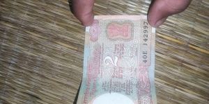 Coins Conservation Service