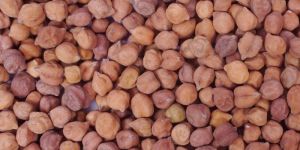 Chickpeas