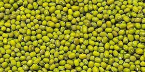 Mung Beans