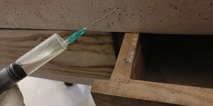 Wood Borer Control Service