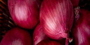 Onions