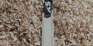 Kashmir Willow Cricket Bat
